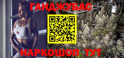 гашик Краснознаменск