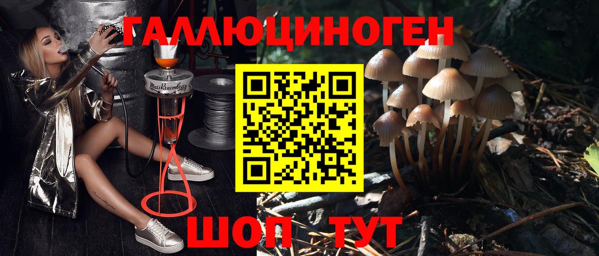 Псилоцибиновые грибы GOLDEN TEACHER Когалым