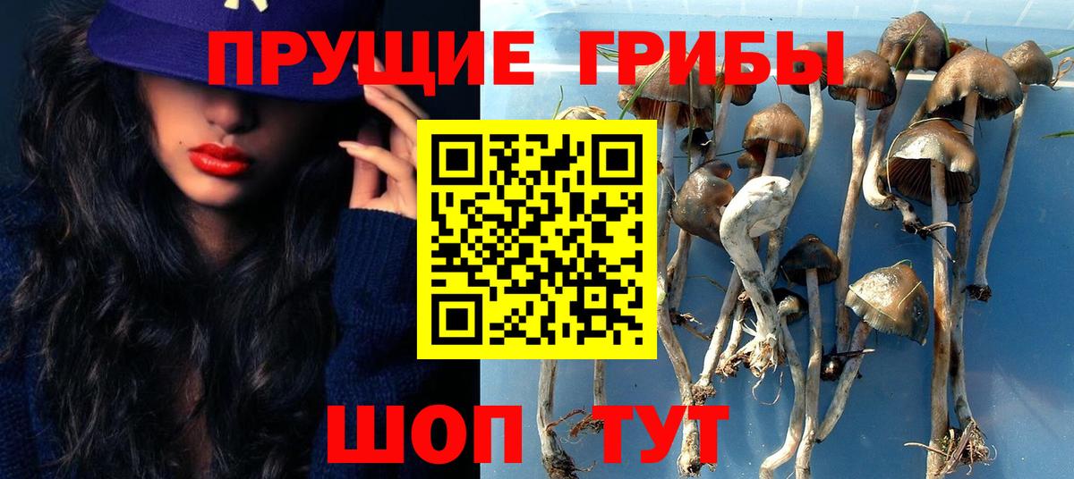 Галлюциногенные грибы Psilocybe  цена наркотик  Когалым  Вход с VPN 